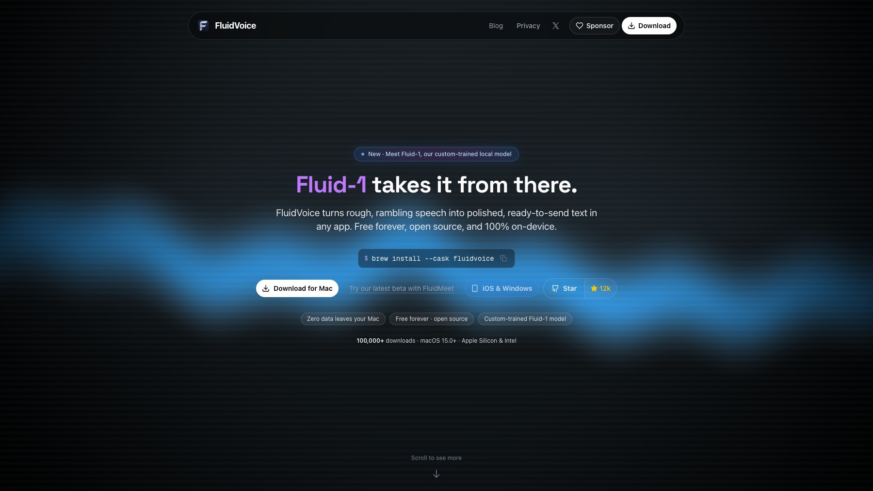FluidVoice preview 1