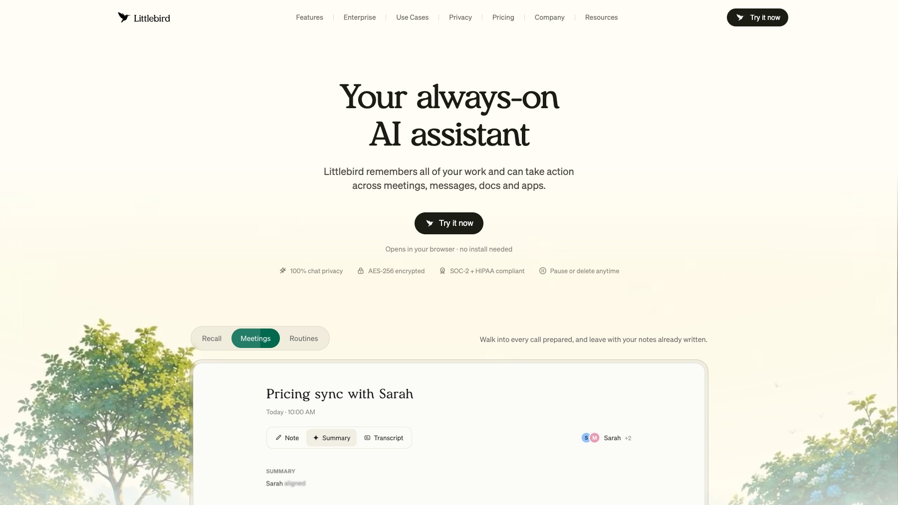 Littlebird preview 3