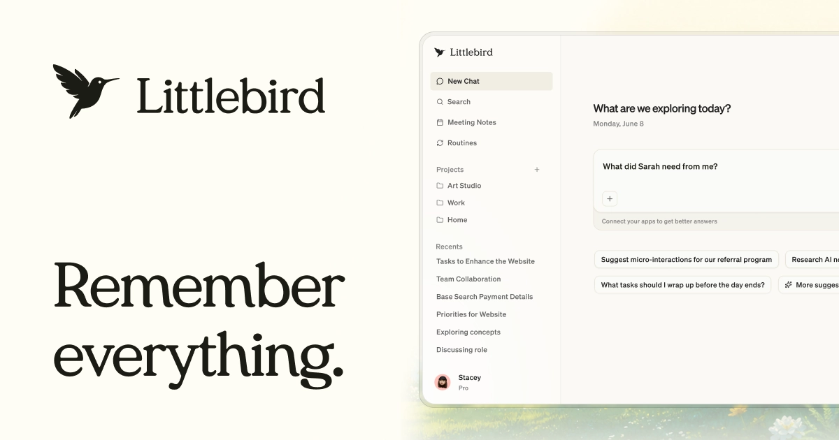 Littlebird preview 2