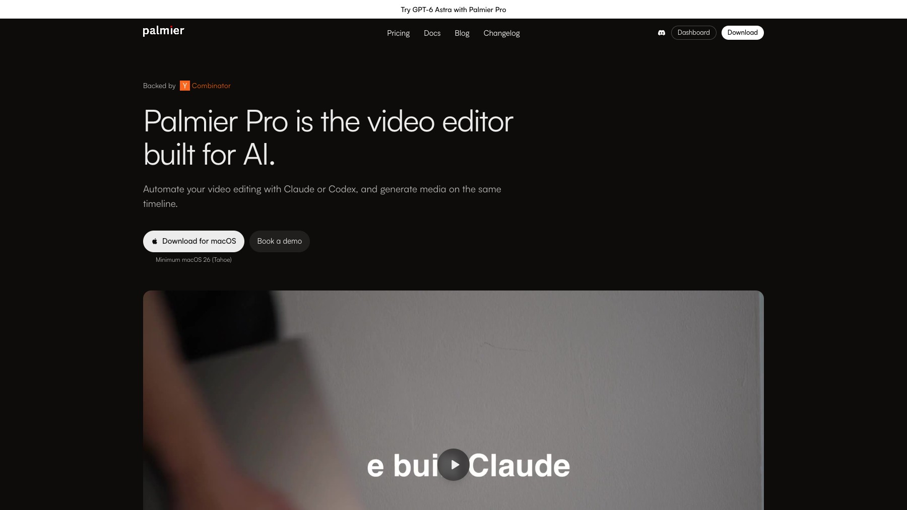 Palmier Pro preview 2