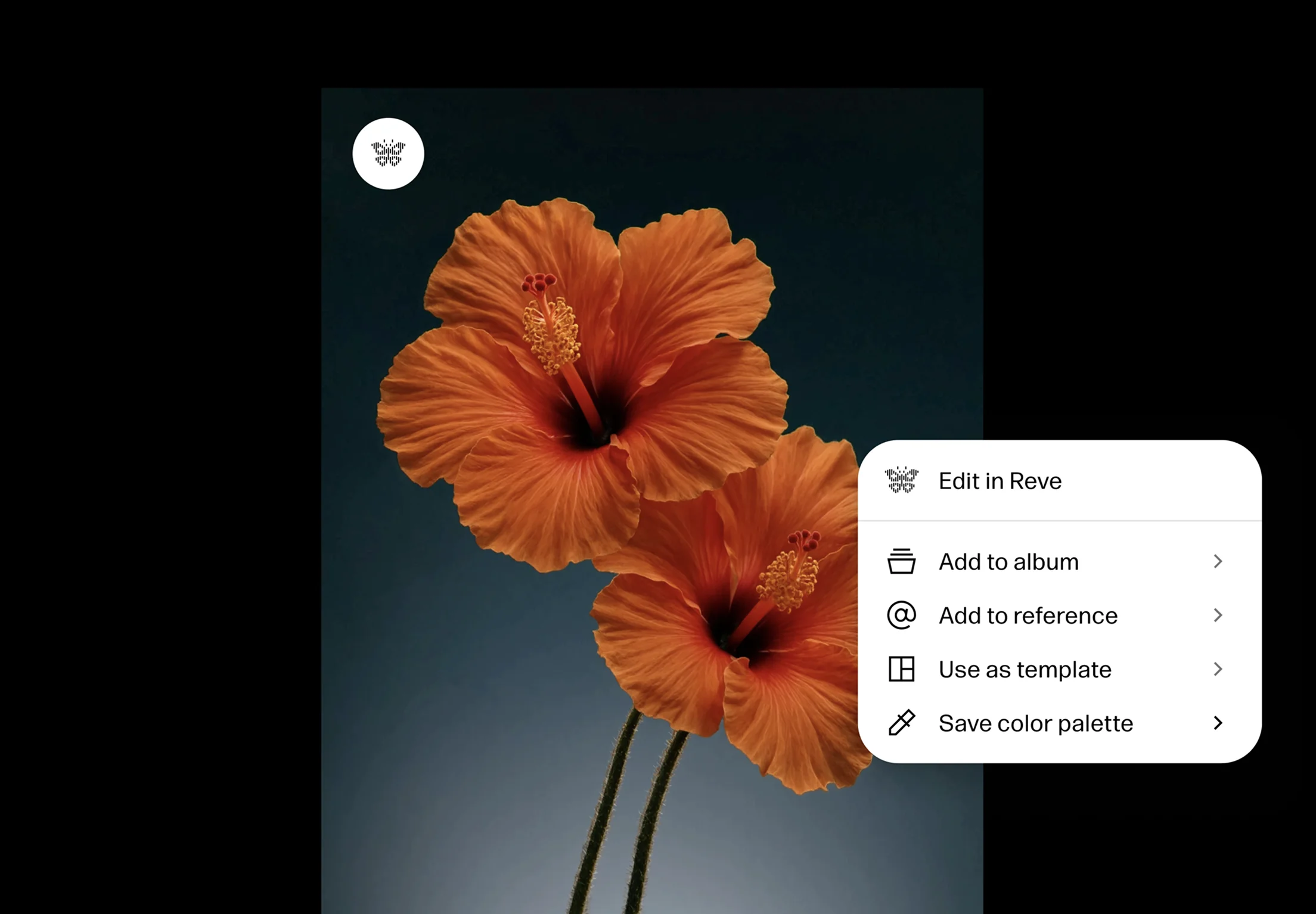 Reve for Chrome preview 1