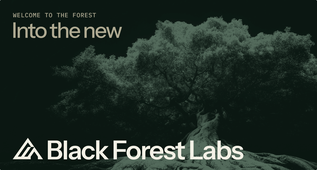 Black Forest Labs preview 1