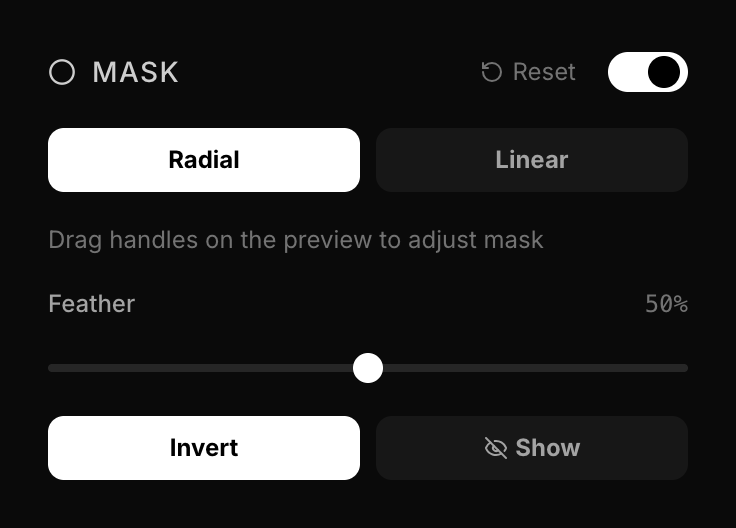 Mask Settings Section
